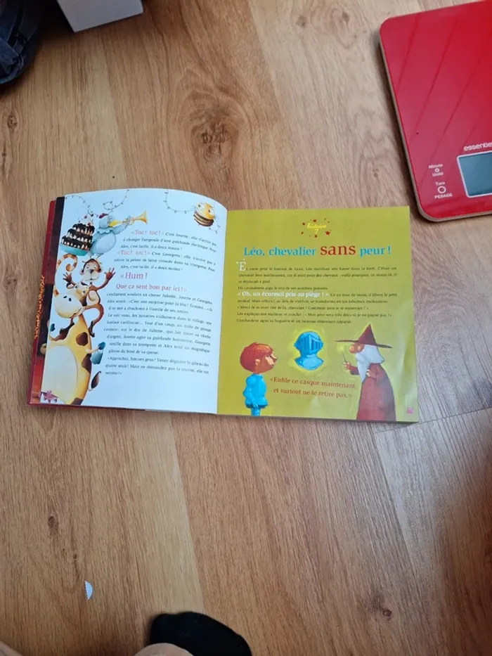 Livre d'histoire du soir - photo numéro 4