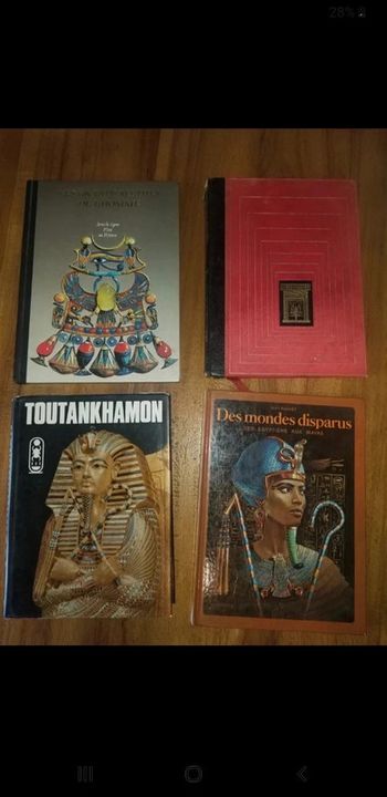 Lot de livres d'Égypte