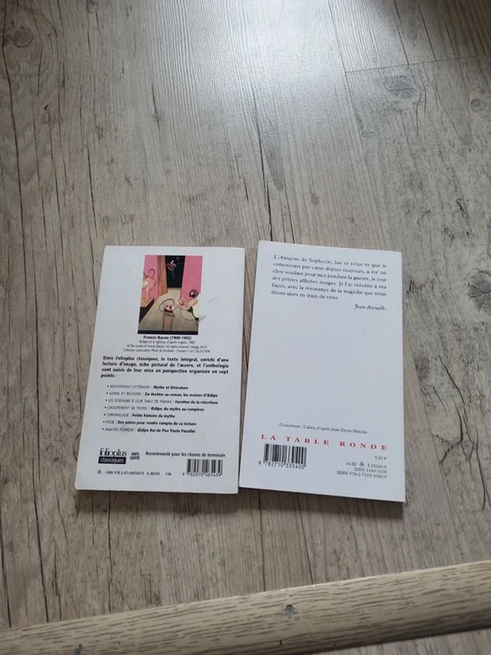 Collection livres grands classiques - photo numéro 10