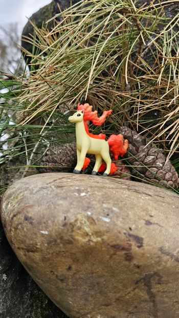 Super figurine Pokemon Galopa R/Lw