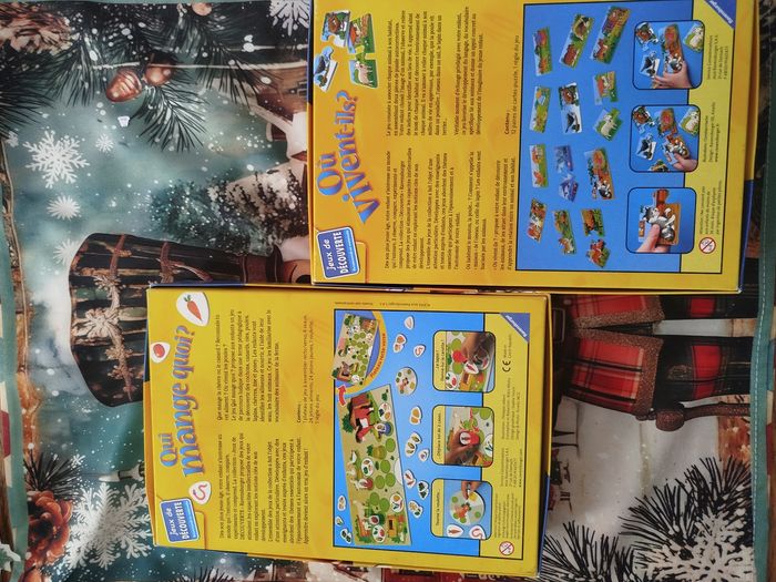 Lot de deux éducatifs - photo numéro 10