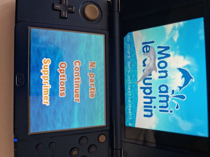 Jeu de Nintendo DS mon ami le dauphin - photo numéro 8
