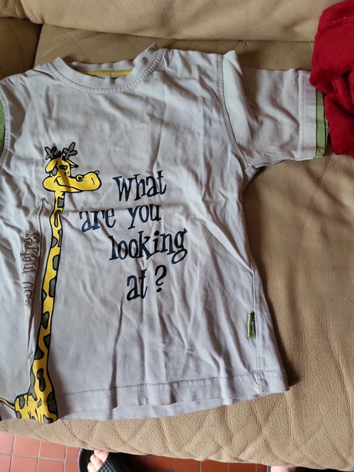 T shirt palomino - photo numéro 3