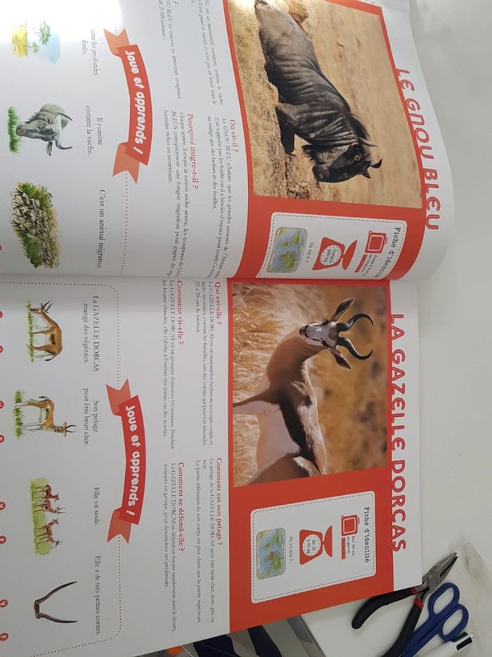 Mon très grand animalier du monde - photo numéro 3