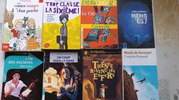 Livre collège lycee 