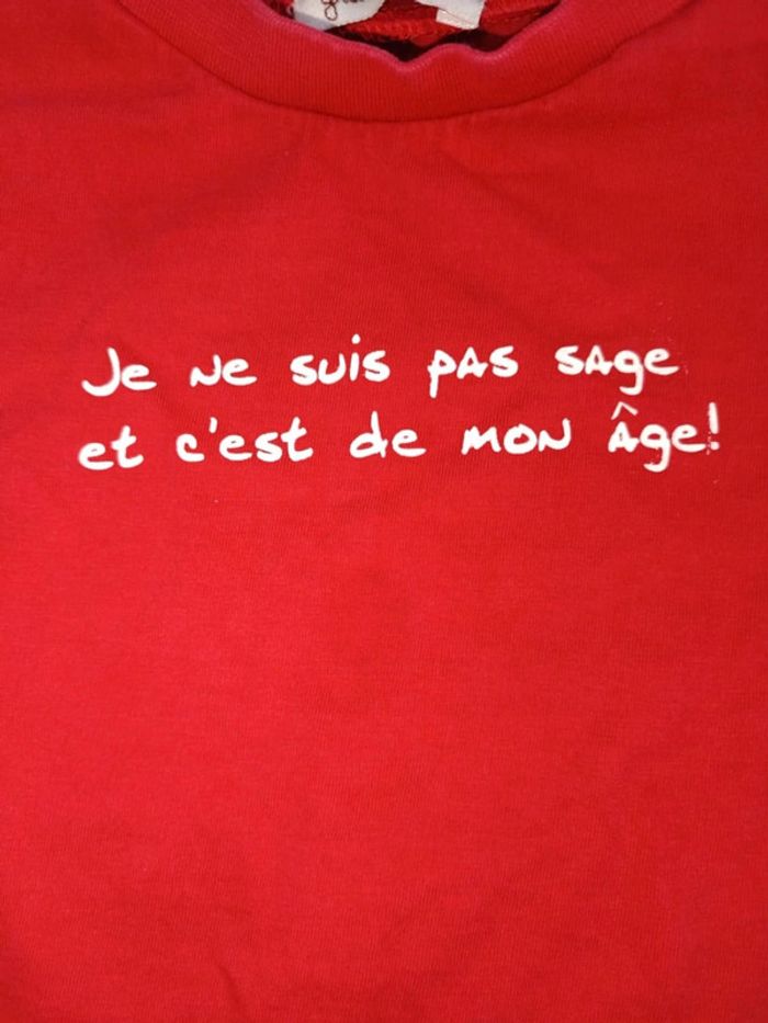 🌼 Tshirt grain de blé taille 18 mois 🩷 - photo numéro 2