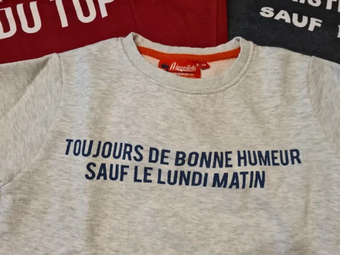 Lot sweat - photo numéro 5