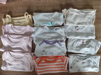 Lot de 12 bodies manches courtes 3 mois