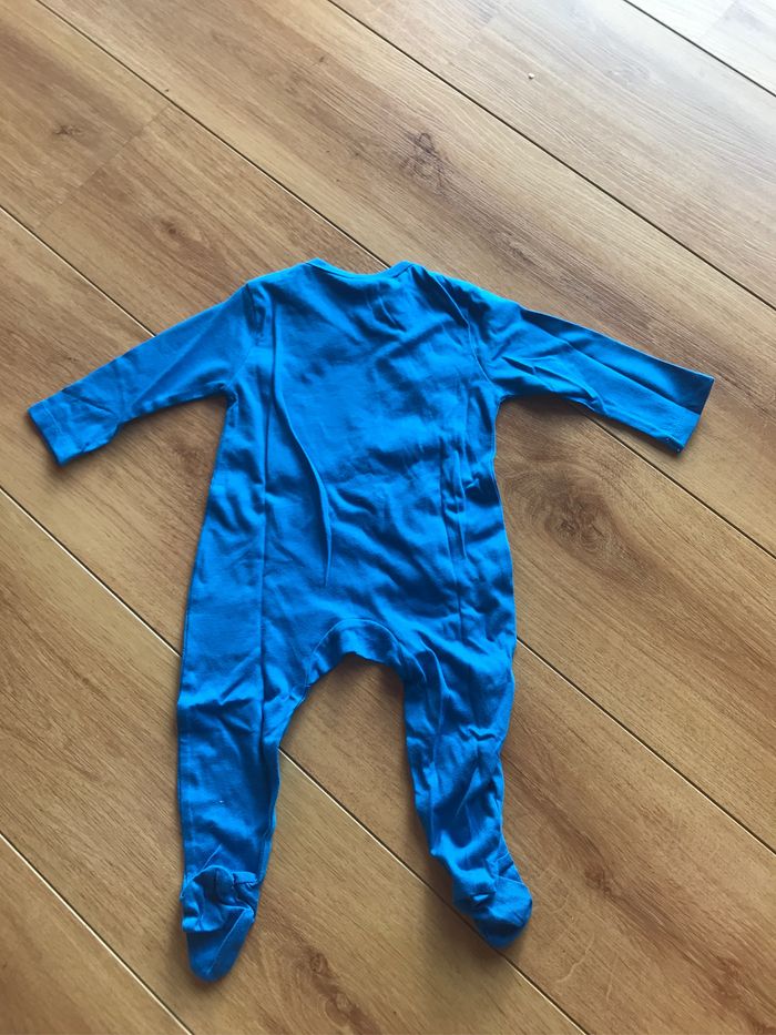 Grenouillère - photo numéro 3