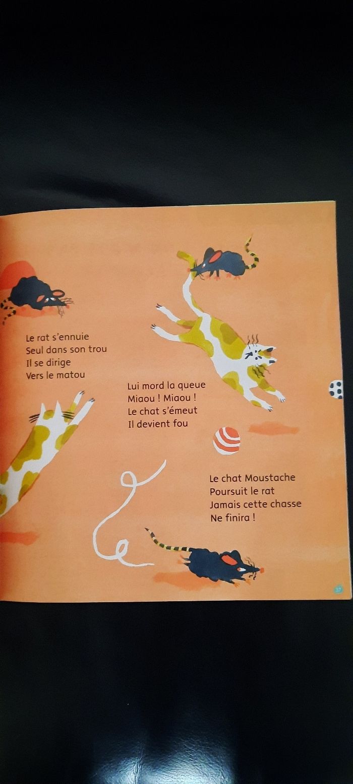 Pomme d api - photo numéro 5