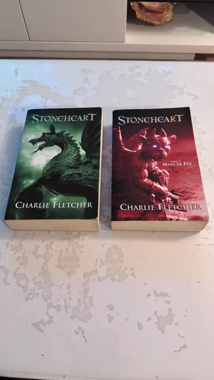 📚 Lot de 2 livres – Stoneheart (Tome 1 & Tome 2 : Main de Fer)  Charlie Fletcher – Éditions Hachette