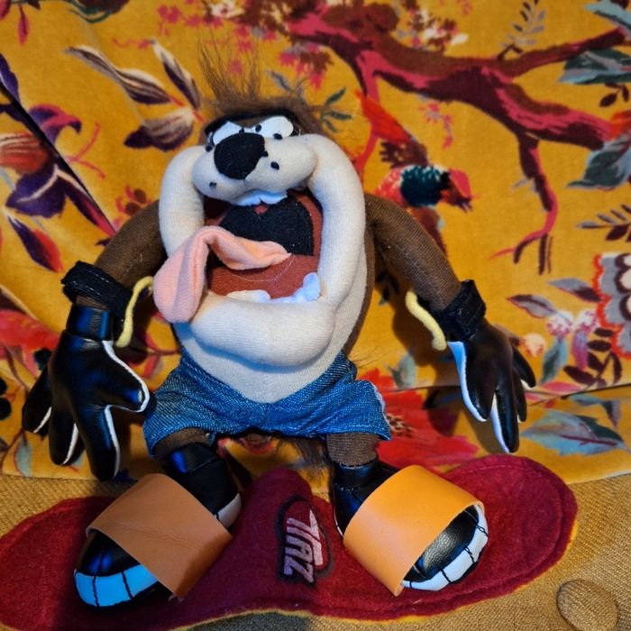 Taz sur son skate board - photo numéro 5