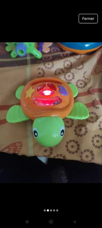 Tortue lumineux j9