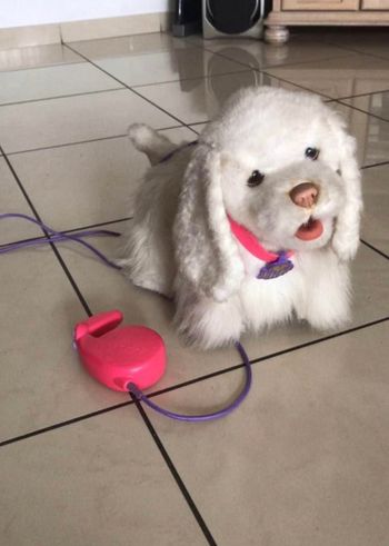 Chien télécommandé