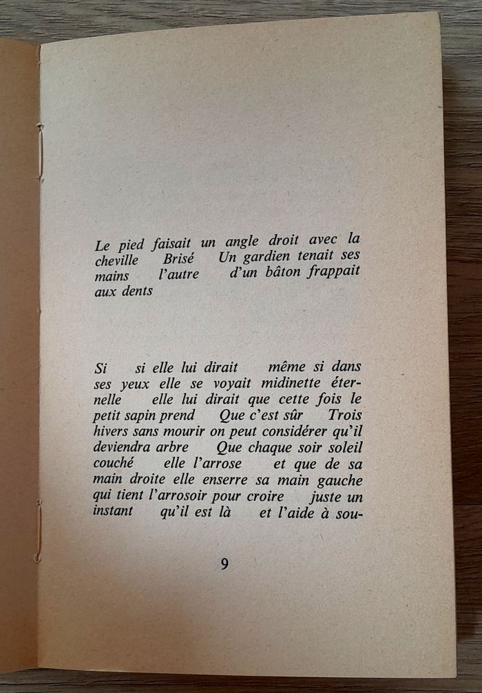 Elle lui dirait dans l'ile - Françoise Xenakis - photo numéro 5