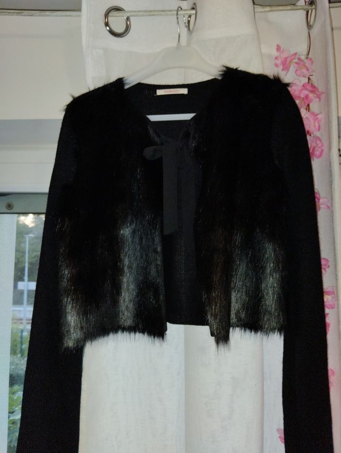 Gilet fourrure - photo numéro 2