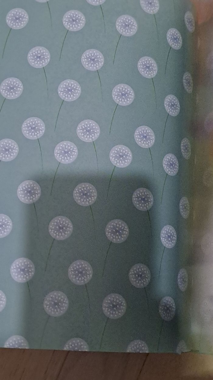 Mon grand recueil à écouter - photo numéro 8