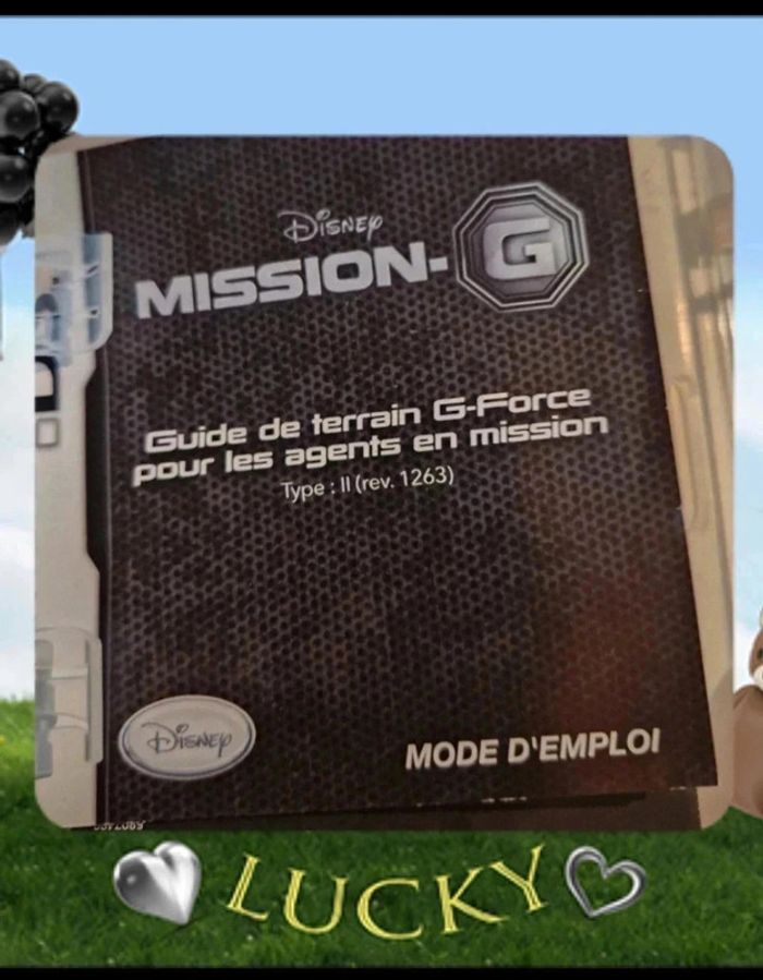 Jeu ds avec boite g force - photo numéro 4