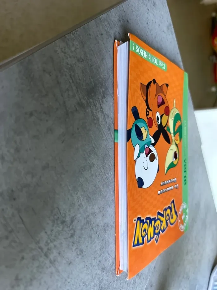 Livre Pokémon - photo numéro 3