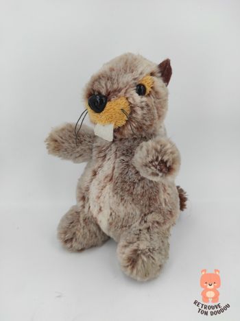 Peluche Marmotte ou Castor Douce 20 cm