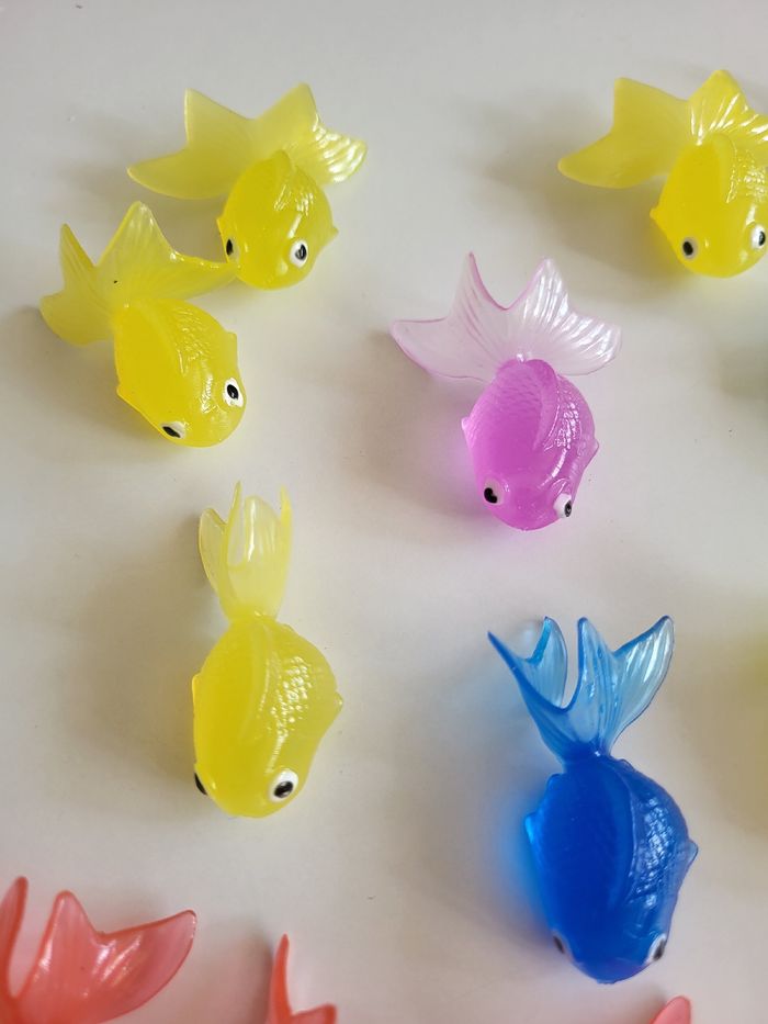 Poissons et épuisettes - photo numéro 3