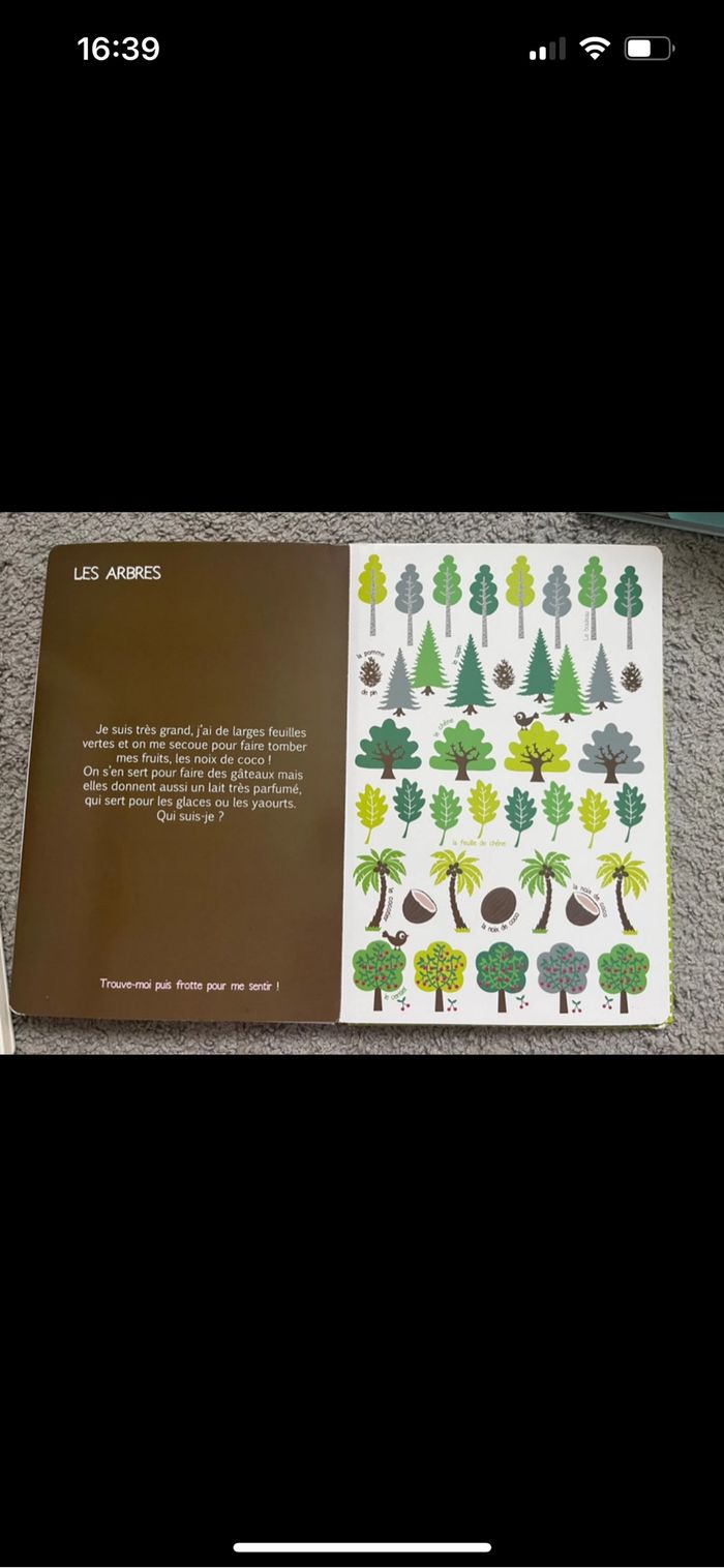 Les trésors de la nature, ses couleurs et ses odeurs - photo numéro 3