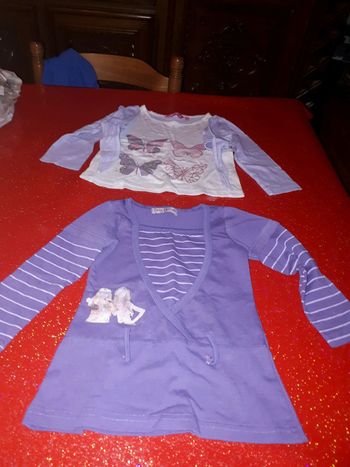 Lot de 2 t-shirt