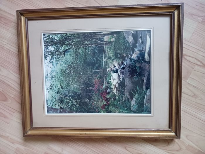 tableau cadre doré photo paysage 45 x 56 cm