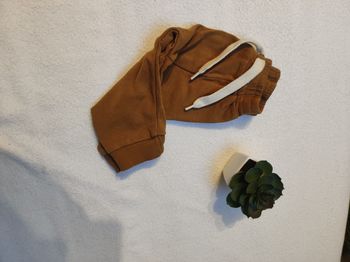 Pantalon sarouel léger moutarde foncé garçon - Taille 2/4 mois / 62 - Zeeman