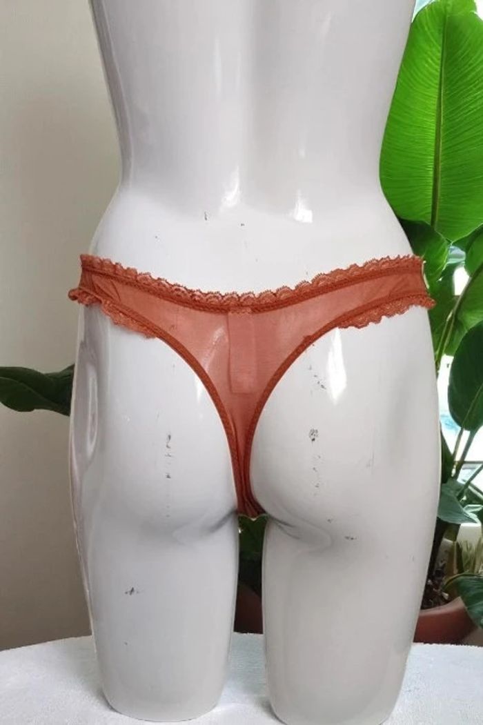 String Aimée L. 36 - photo numéro 3