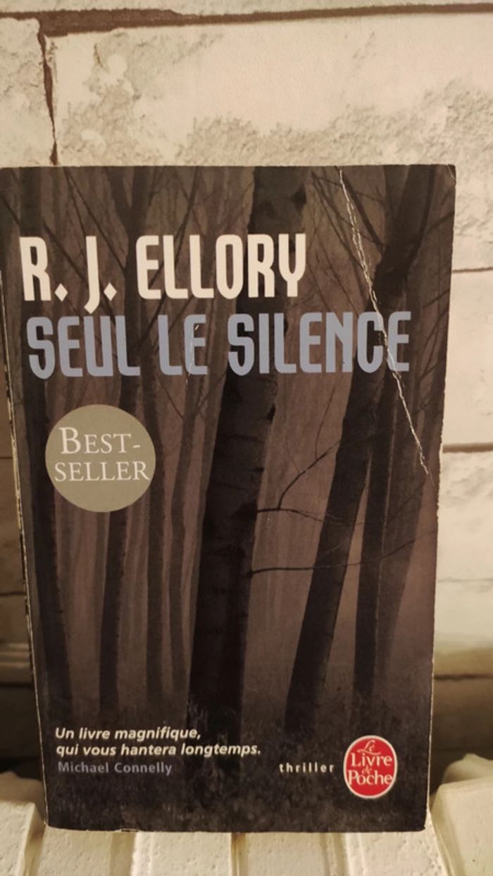 Seul le silence - R.J Ellory - Le livre de poche