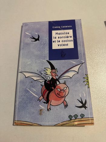Mathilde la sorcière et le cochon volant