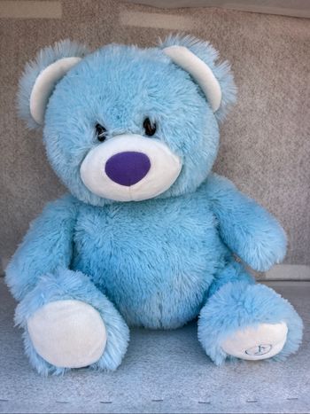 Ours bleu