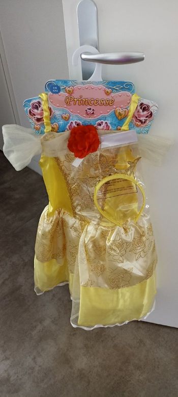 Déguisement de princesse