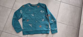 Sweat vert Dino 10A