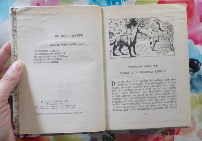 5 Le trio de la Tamise Bibliothèque Verte (ou à l'unité) - photo numéro 5