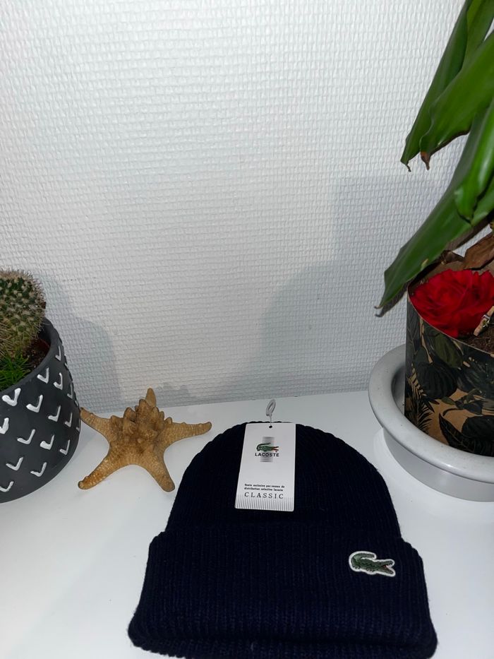 Bonnet - photo numéro 2