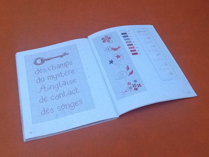 Anne Sohier-Fournel Jeux de mots au point de croix - photo numéro 7