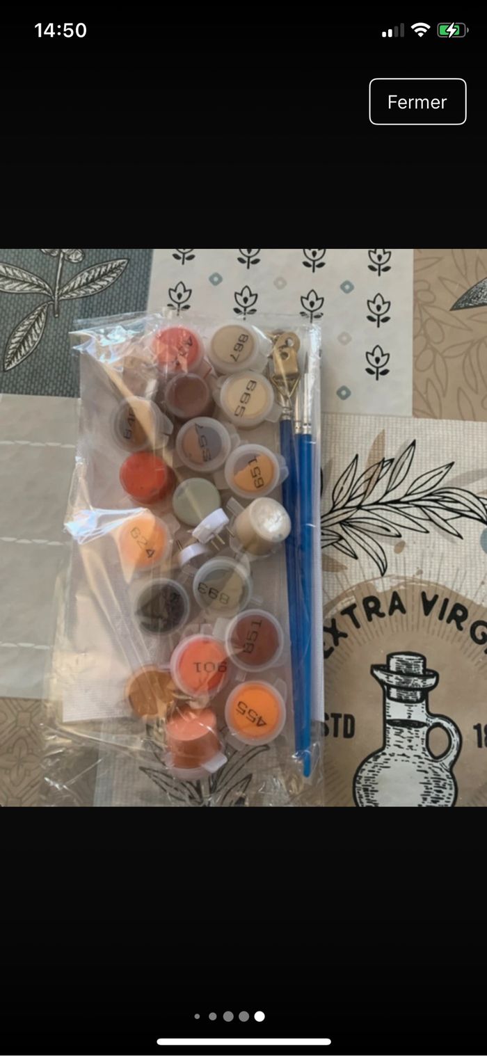 Kit complet de peinture par numéro - Neuf - photo numéro 6