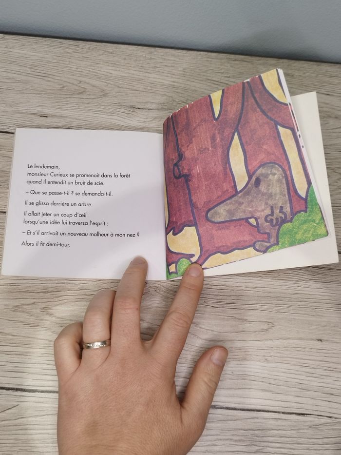 Livre Monsieur Madame M. Curieux - photo numéro 8