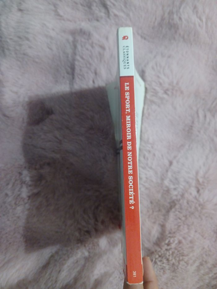 Livre: le sport, miroir de notre société - photo numéro 3