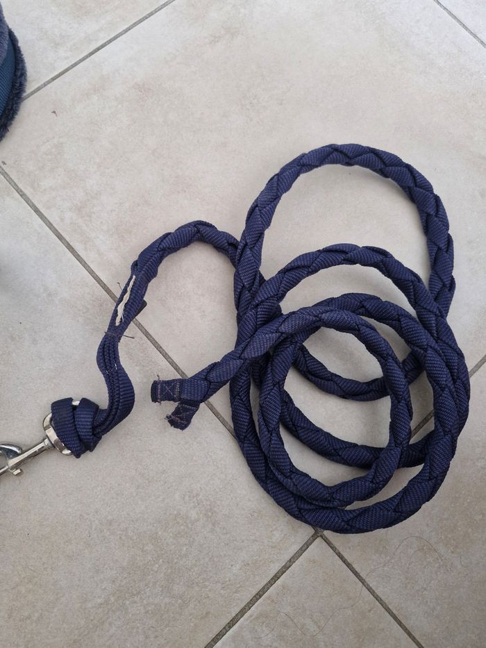 Licol cheval + longe fonganza
Bleu - photo numéro 6