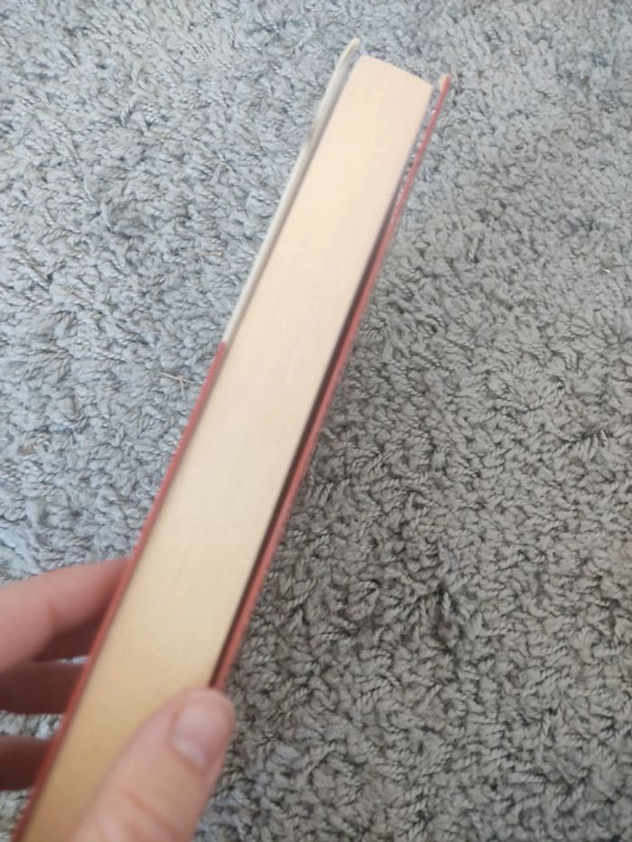 Et si c'était vrai - photo numéro 3
