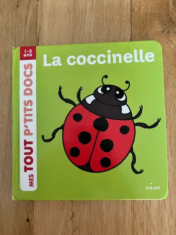 Livre coccinelle