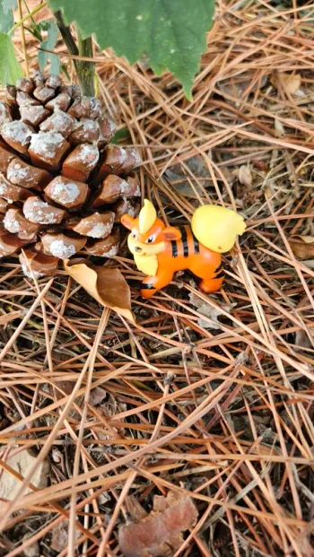 Super figurine Pokemon Nintendo Caninos