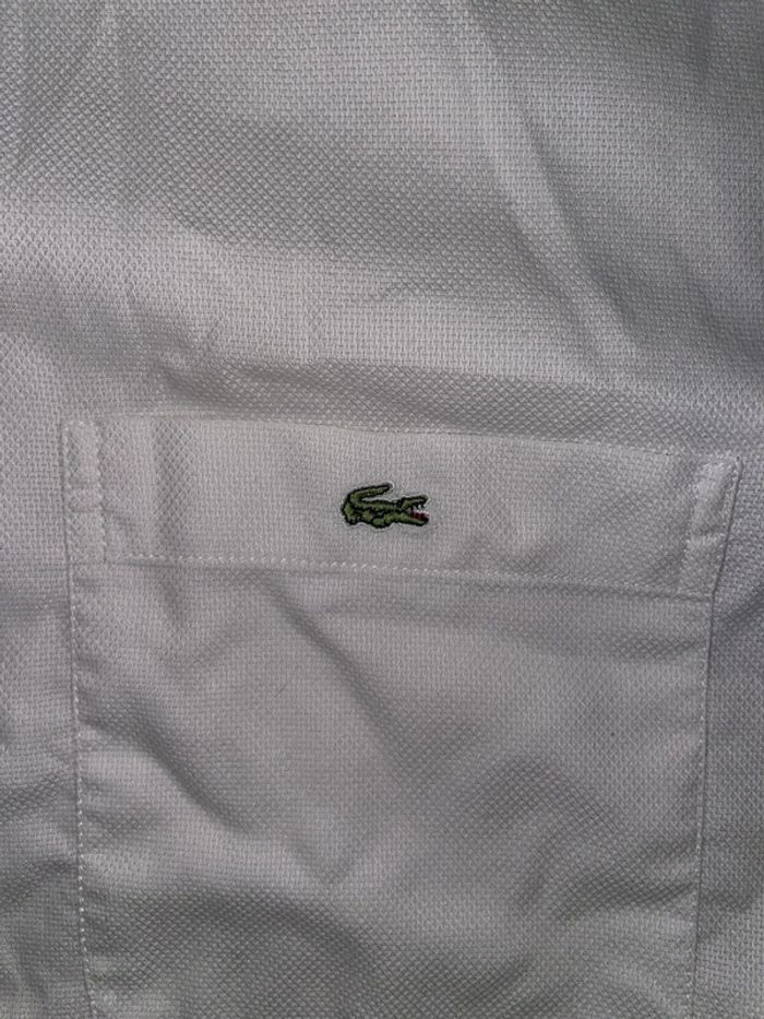 Chemise Lacoste blanche classique 👔 - photo numéro 3