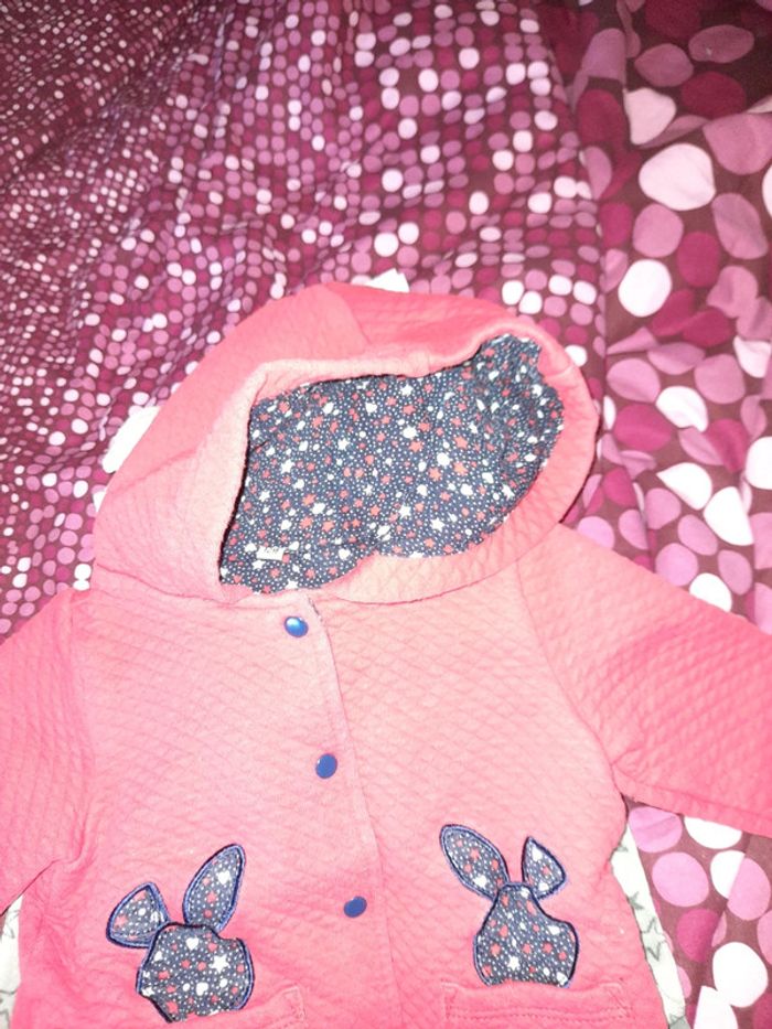 Veste - photo numéro 3