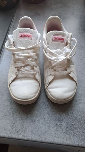 Adidas rose