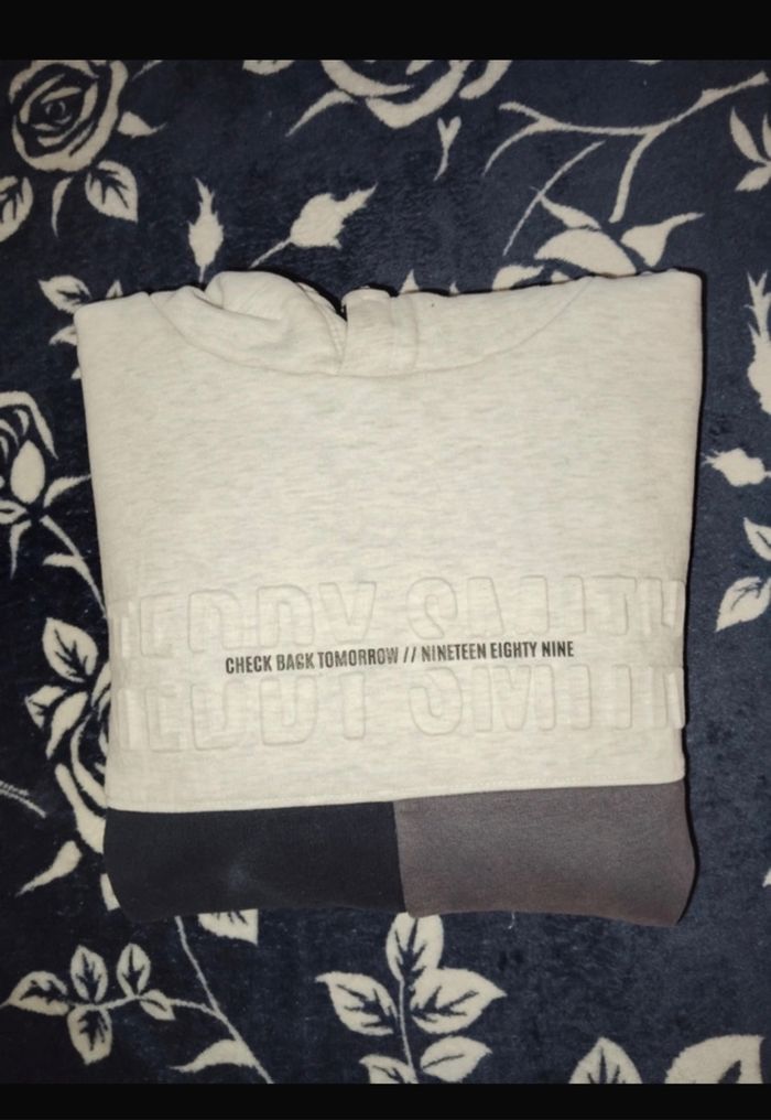 Pulls Teddy smith - photo numéro 5