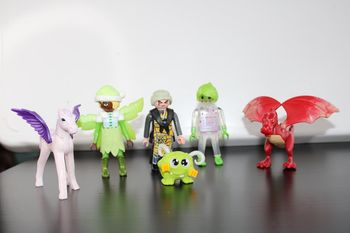 Playmobil lot personnages fantsy